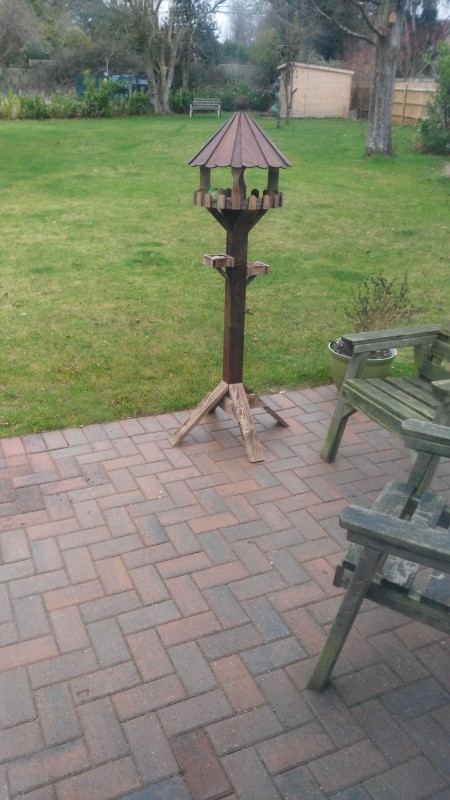 IMG-20161225-WA0002.jpeg